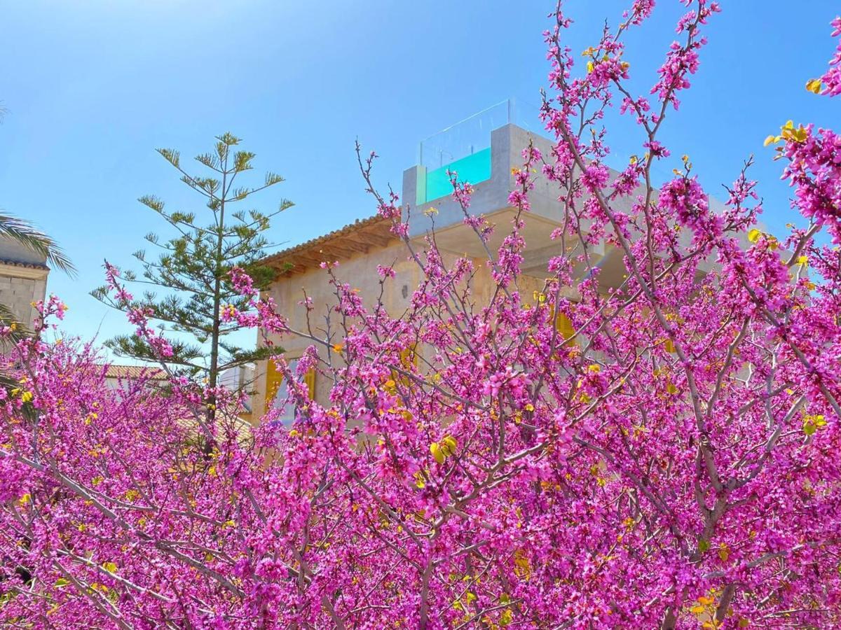 Hotel Boutique Can Pocovi سان لورينثو دي كارديسار المظهر الخارجي الصورة